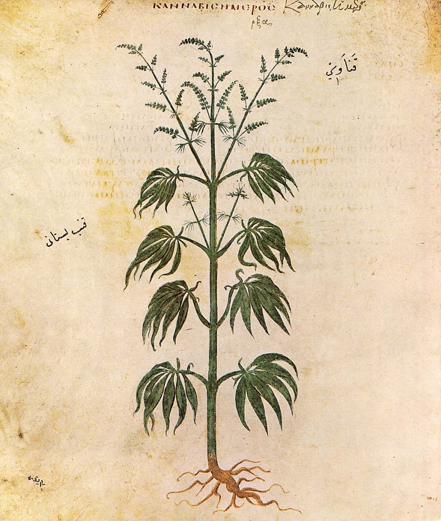Illustration from the Vienna Dioscurides c.512