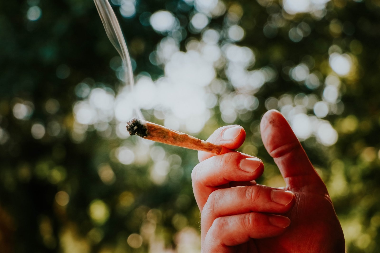 hand holding a lit joint outside