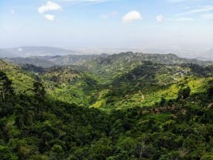 view over rolling green hills