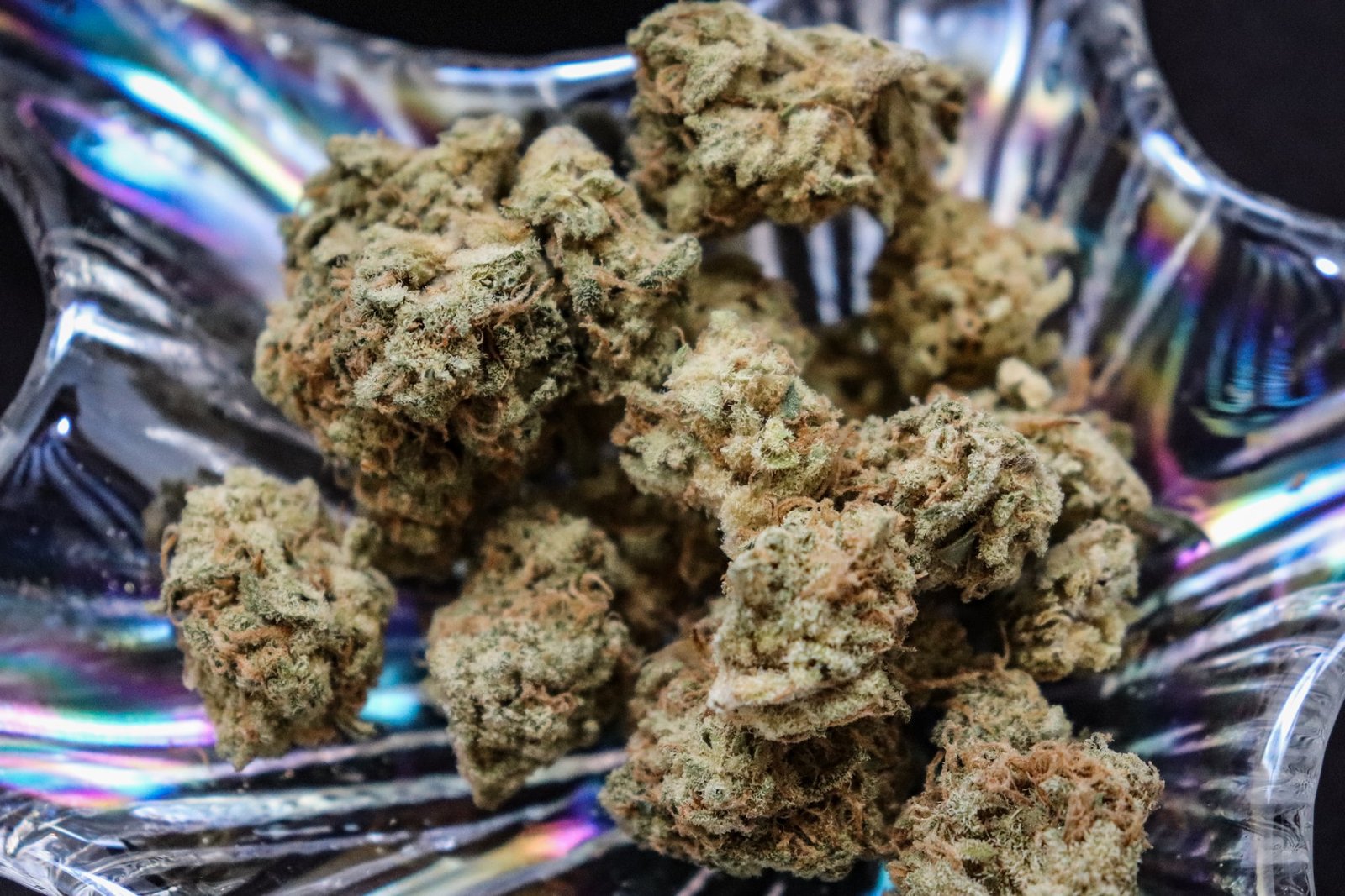 cannabis buds in shiney bowl