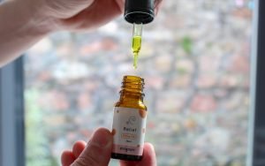 cbd oil bottle