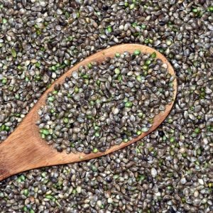 Cannabis Seeds