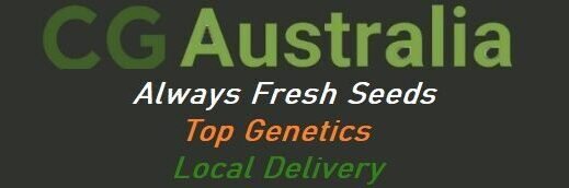 Cg Australian Rapper Australia’s Medical Cannabis System Is Under Pressure — Here’s Why | CG ...