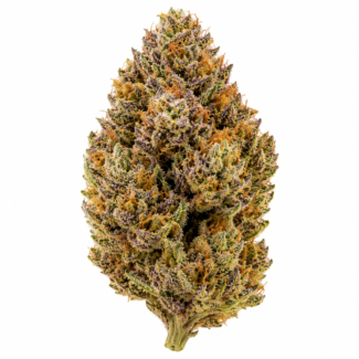 Bubblegum Feminized Seeds